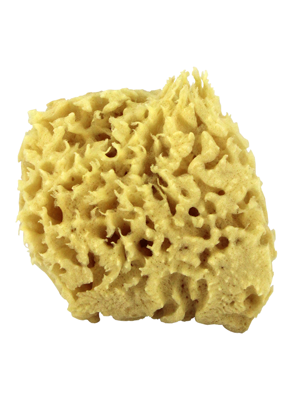"Sea Wool Natural Bath Sponge 4"""